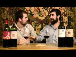 Feudi di Guagnano / Winemaker: Gianvitto Rizzo Part 2.wmv